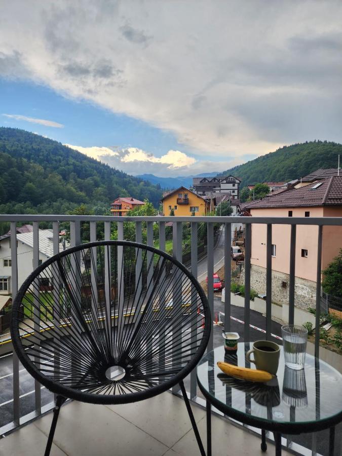 Cozy Studio 4 People With Parking Sinaia Buitenkant foto