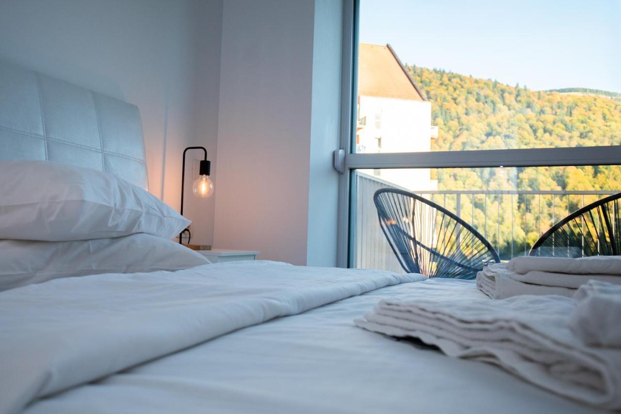 Cozy Studio 4 People With Parking Sinaia Buitenkant foto