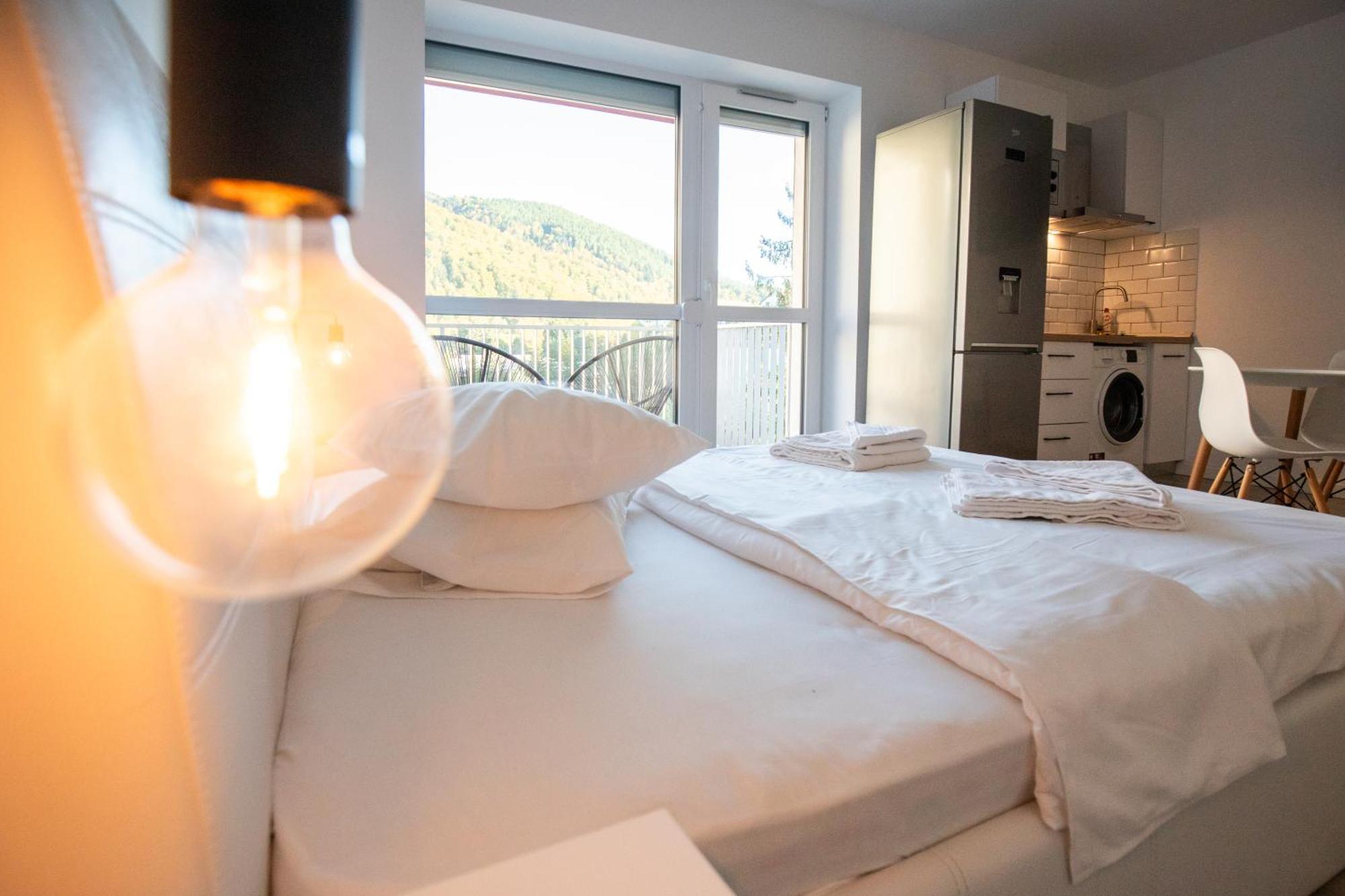 Cozy Studio 4 People With Parking Sinaia Buitenkant foto