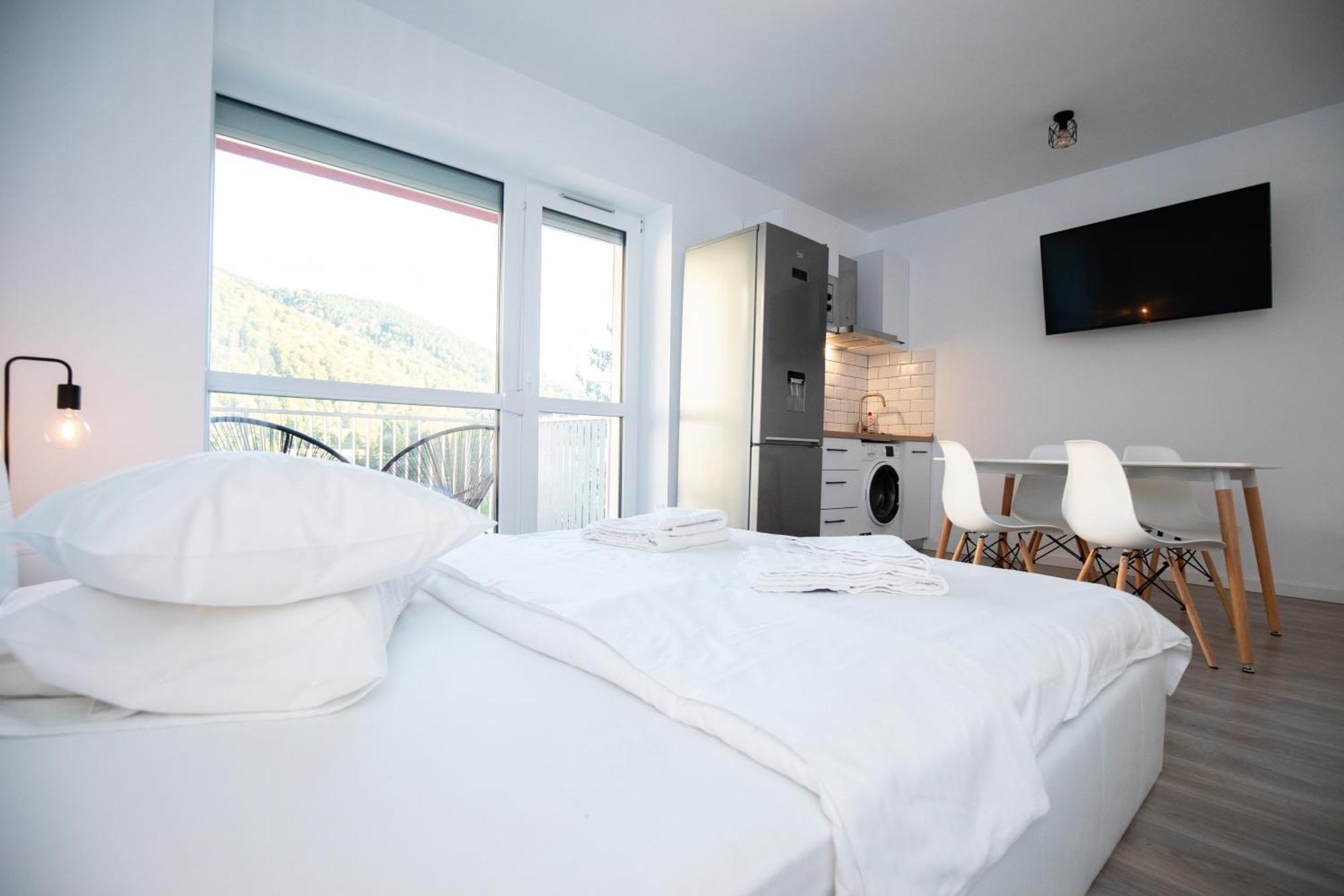Cozy Studio 4 People With Parking Sinaia Buitenkant foto